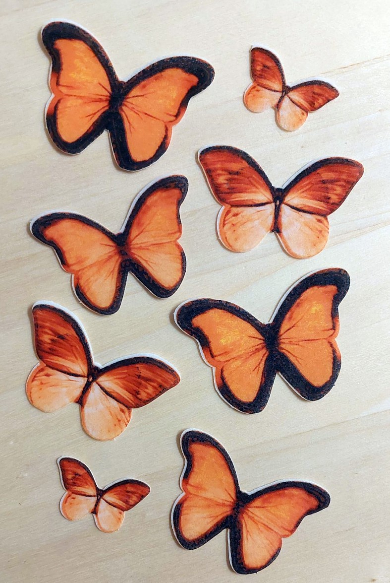 Motýle farebné VII (sada 8ks)